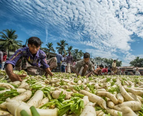 Case Study: Advancing Finance & Agriculture Through Skills Development