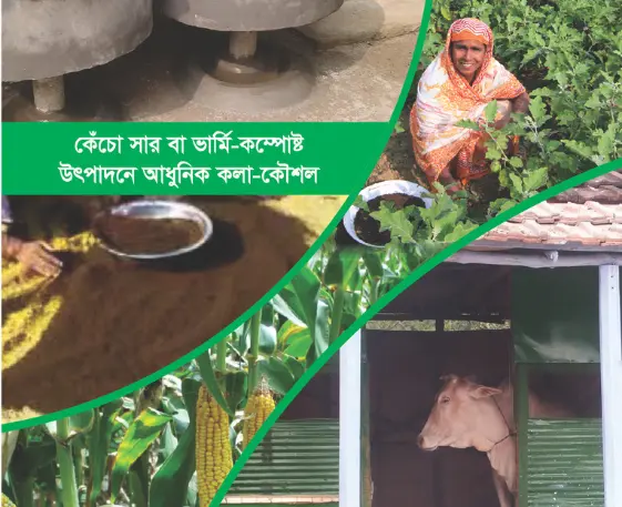 Case Study: Advancing Finance & Agriculture Through Skills Development