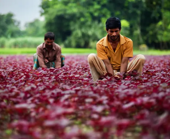 Case Study: Advancing Finance & Agriculture Through Skills Development